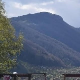 Art Retreat – Tabăra de Pictură Matisse la Bran