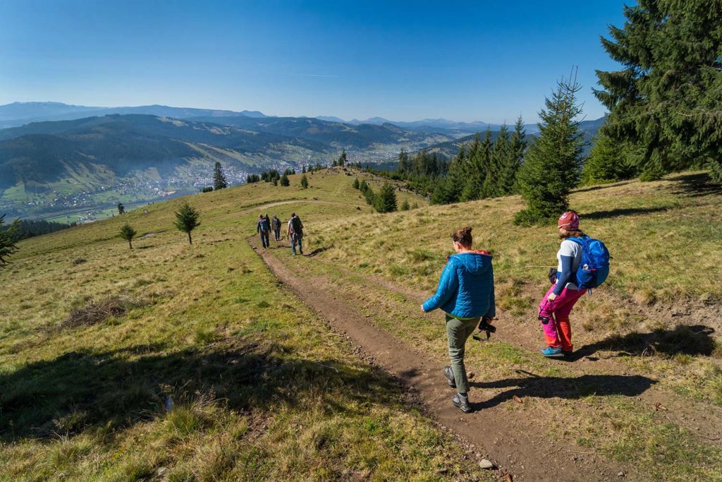 Carpathian Forest Immersion – Tabără de hiking și băi de pădure în Țara Dornelor