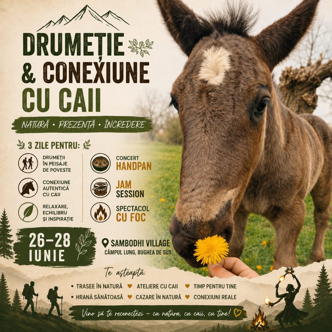 Drumeție în Natură & Conexiune cu Caii