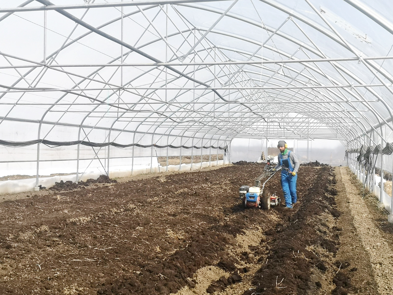 Ferme regenerative și grădini comunitare – interviu și inițiative conexe