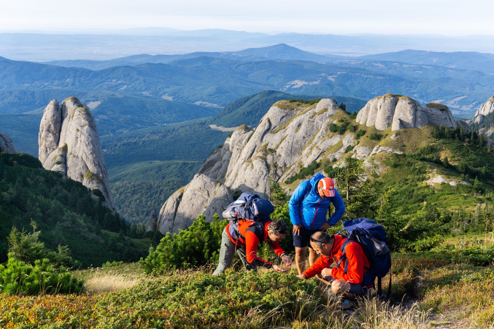 Retreat de hiking conștient și baie de pădure în Munții Ciucaș