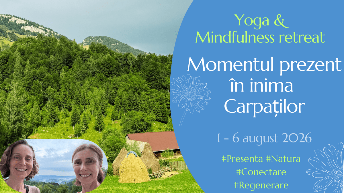 Retreat de Mindfulness în Carpați – Prezență în Natură