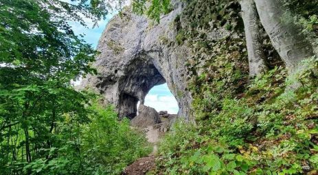 Retreat de Regenerare pe Tărâmul Vindecărilor și al Vindecătorilor