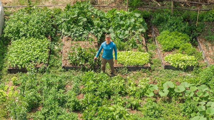 Retreat „Viața pe îndelete”: natură, permacultură și viață simplă în Ținutul Odobestiului