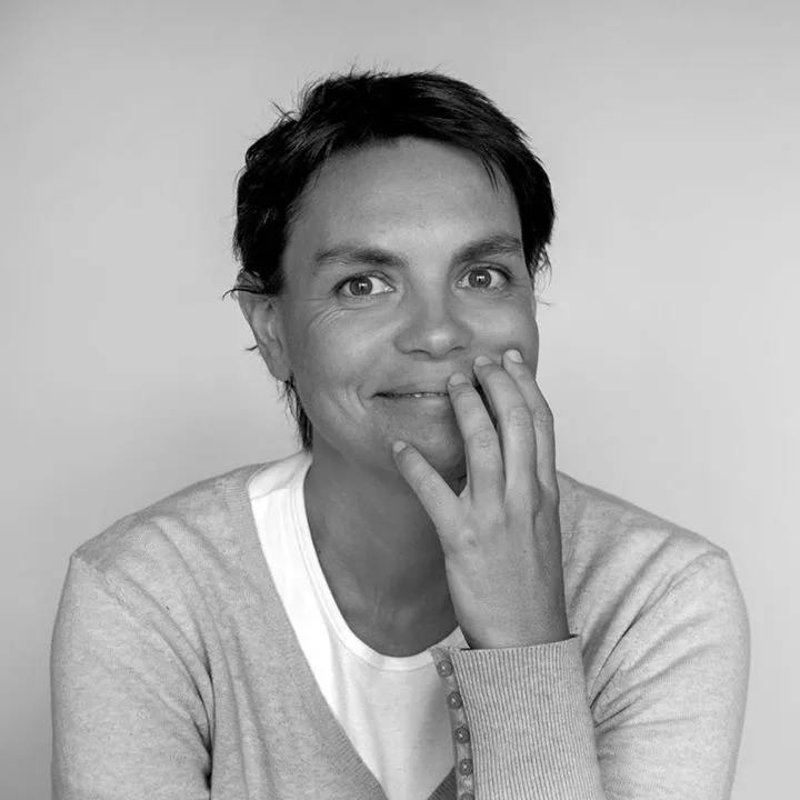 Solisis Muntele Băișorii