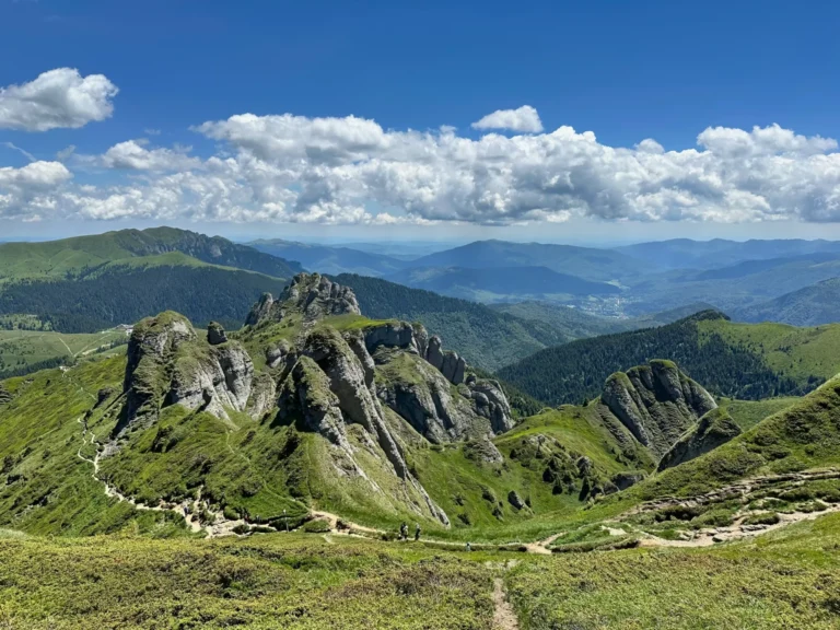 Tabără de hiking și forest bathing în Munții Ciucaș