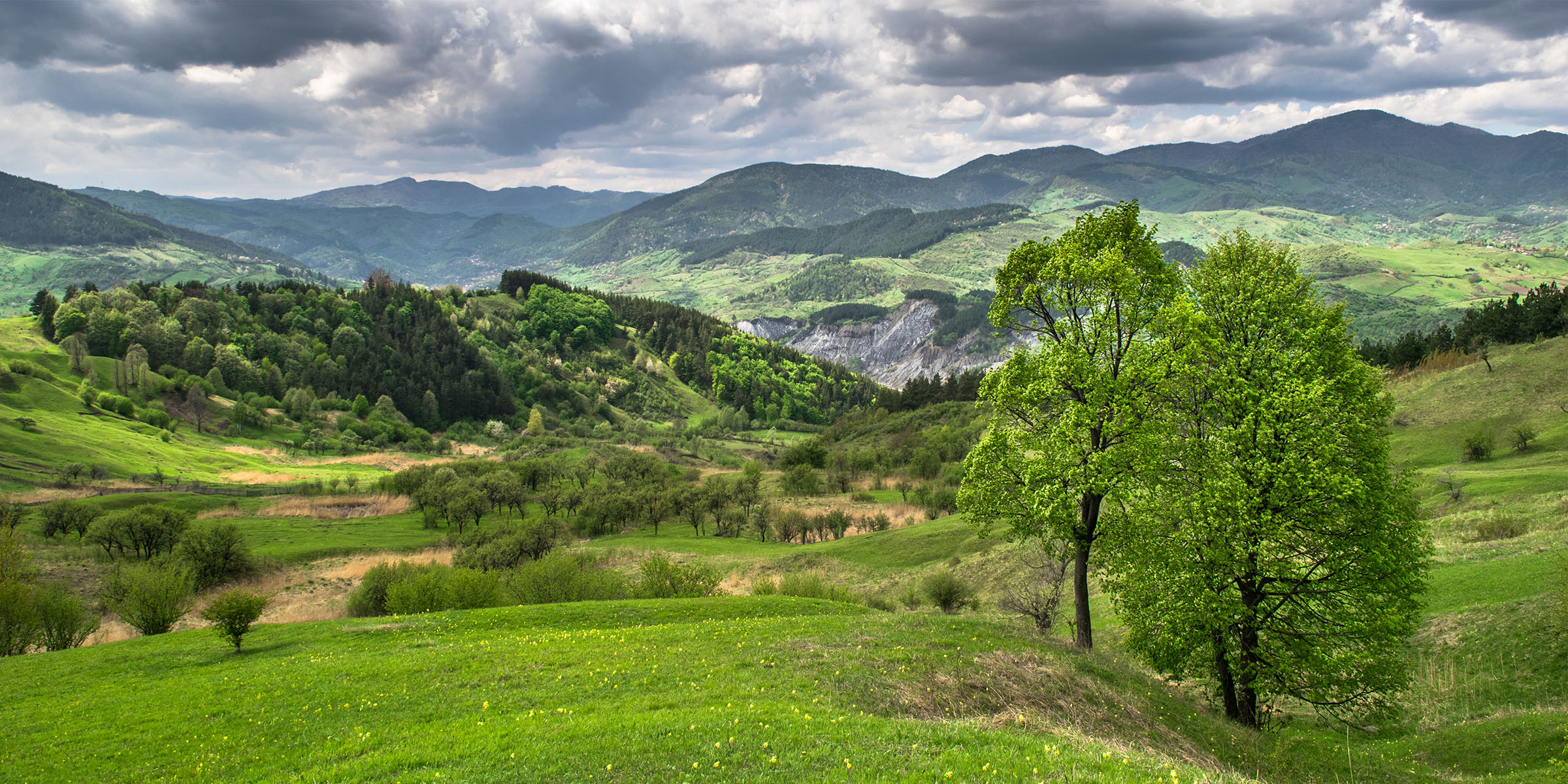 Tabără de natură, pădure și simplitate în Ținutul Buzăului