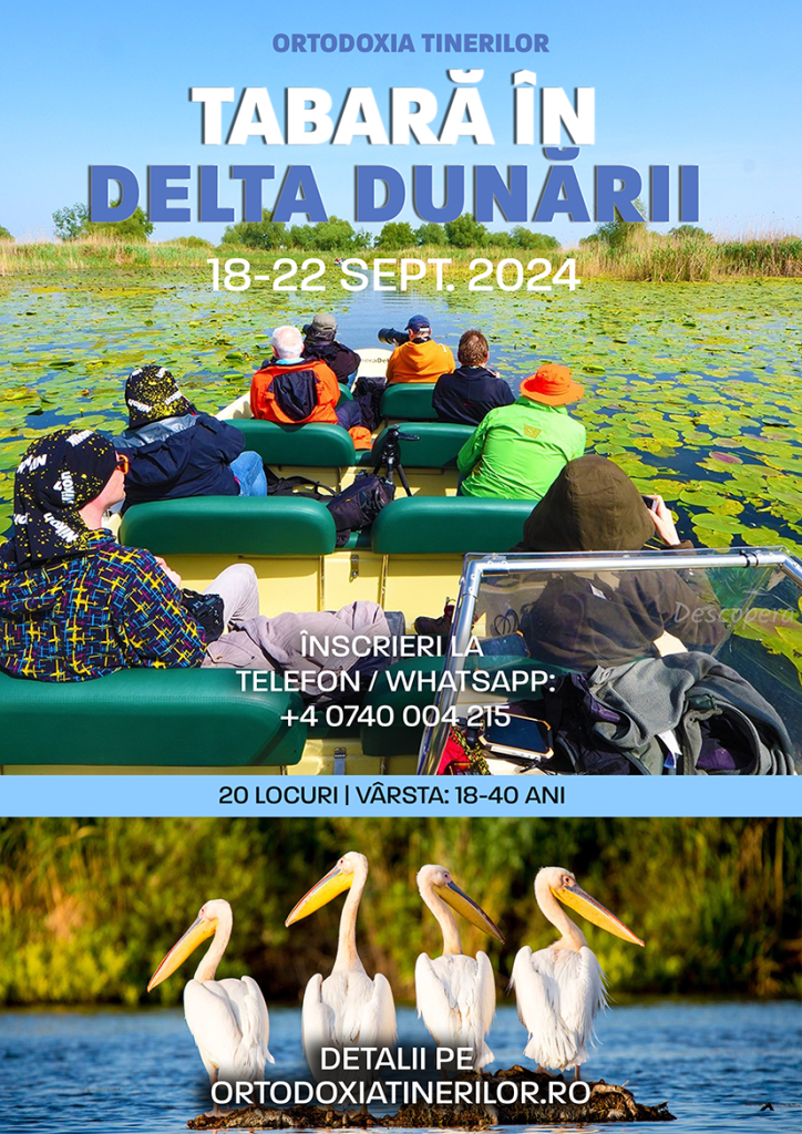 Tabără de Toamnă în Delta Dunării – Natură Sălbatică și Prezență Conștientă
