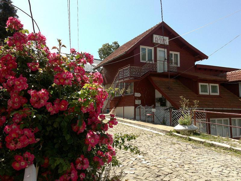 Vacanță la țară pentru familii – părinți și copii la Floare de Colț