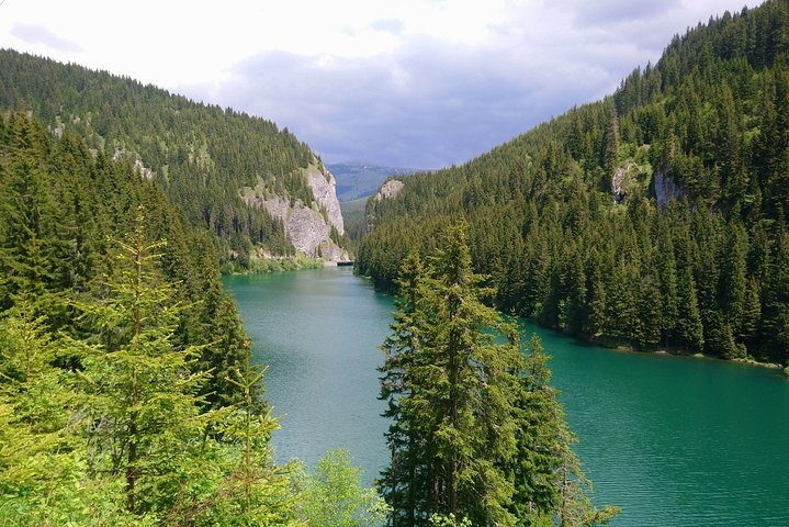 Wild Carpathia Hiking & Forest Bathing Retreat în Munții Apuseni