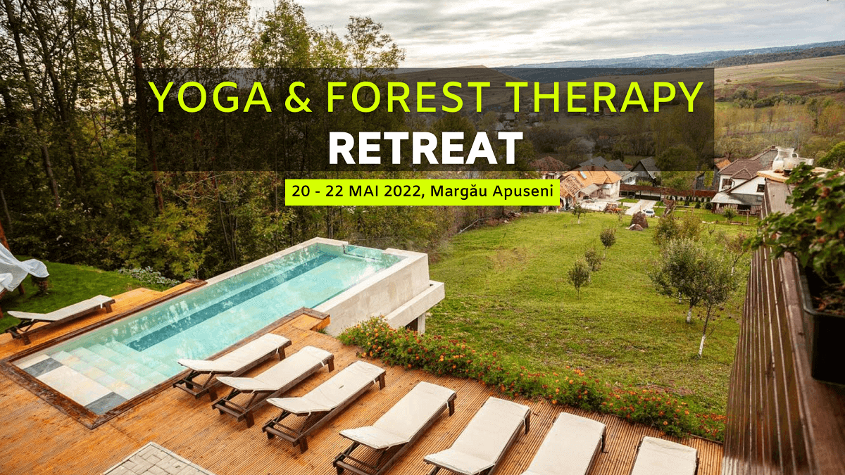 Yoga & Forest Therapy RETREAT - Margau Apuseni